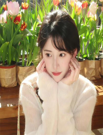 《启示录希特勒的西线战争》美学价值分析：艺术美感与审美特征探讨